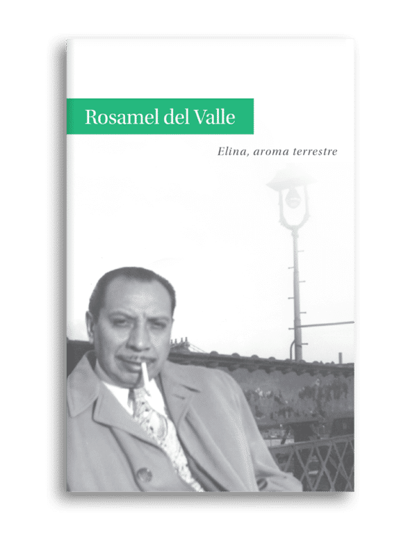 rosamel del valle elina