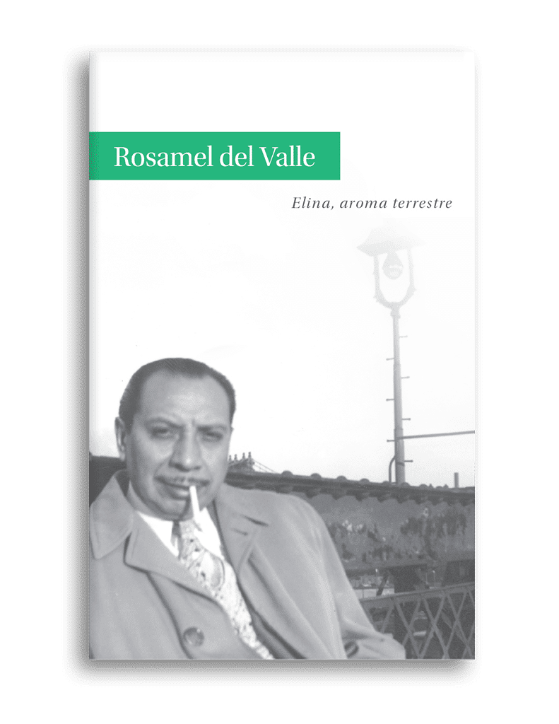 rosamel del valle elina