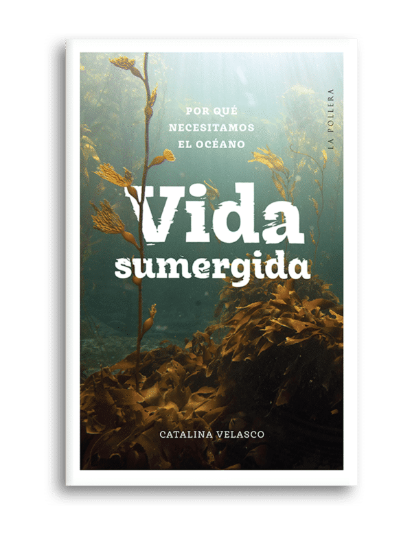 Vida sumergida
