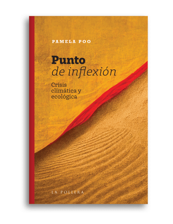 Punto de inflexion Pamela Poo