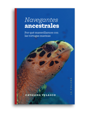 Navegantes ancestrales: Por qué maravillarnos con las tortugas marinas